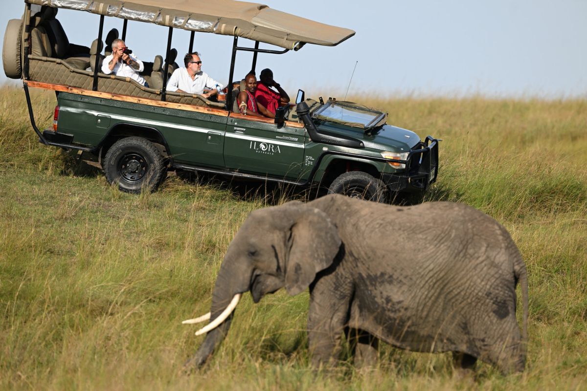 Safari jeep with guests watching an elephant in the savannah near Ilora Retreats Masai Mara